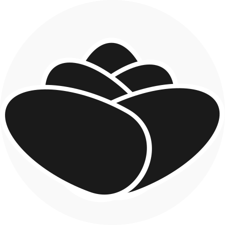 Lotus Tech Studio Logo